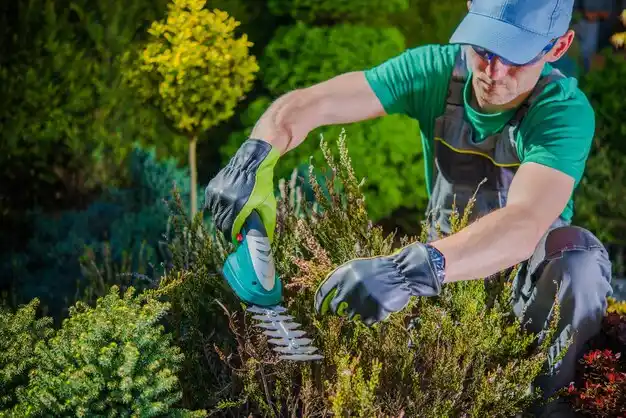 landscaping services Plano